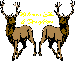 Enter Elk Expressions HERE